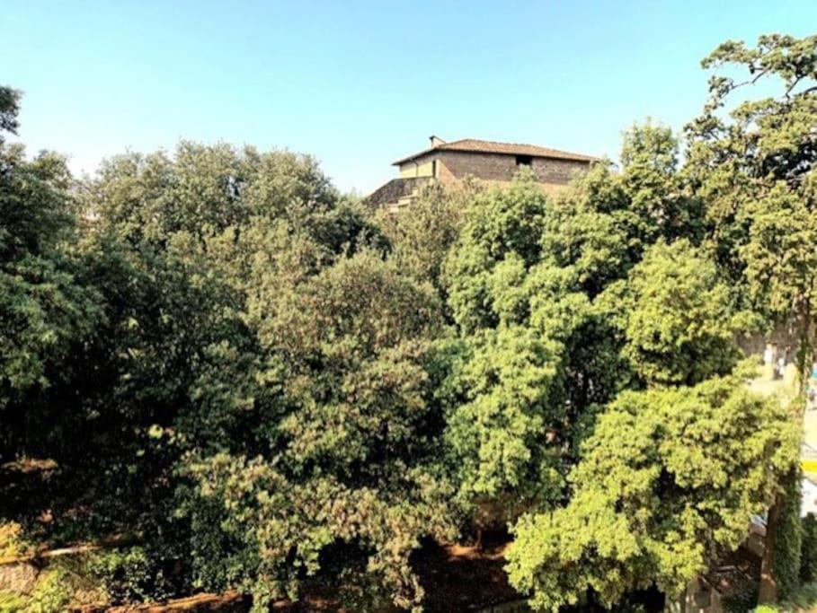 * * * * * Casa Vista Boboli Nel Cuore Di Firenze Apartamento